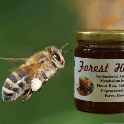 wild forest honey