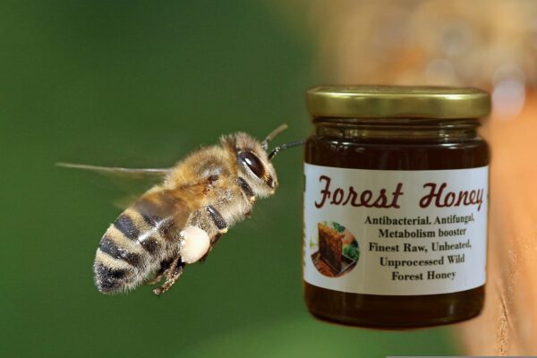 Forest-honey-Purnima-bahuguna-Triaanyas-top-organic-company-in-india-uttarakhand-uttarpradesh.jpeg wild forest honey